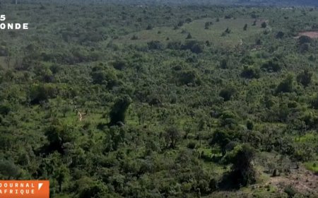 RD Congo : le cobalt, source de discordes