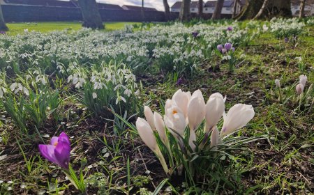 Spring is in the air!