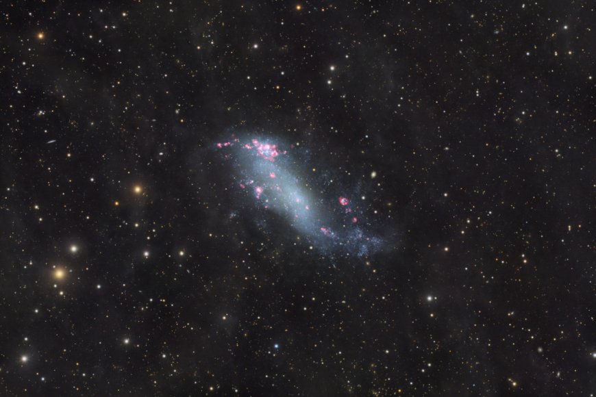 IC 2574: Coddington's Nebula