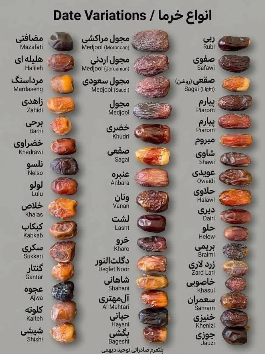 The different types of date