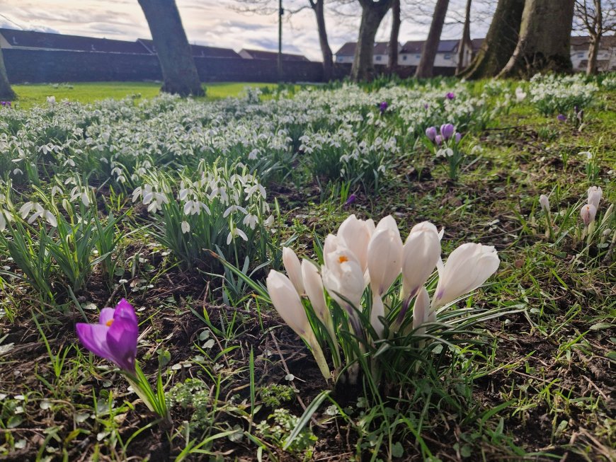 Spring is in the air!