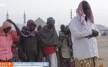 "Au bord de la crise humanitaire...": en Somalie, deux saisons consécutives de sécheresse