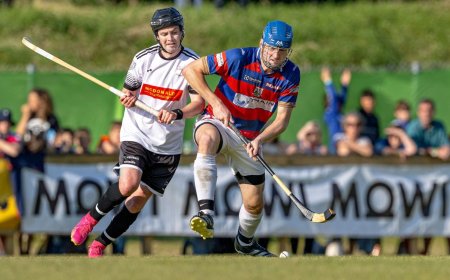 Shinty: Kingussie welcome back former Scotland captain following serious knee injury
