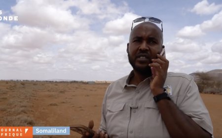 Somaliland: lutte contre le trafic de guépards