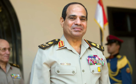 Egypt elects Abdel Fattah el-Sisi in pivotal 2014 vote