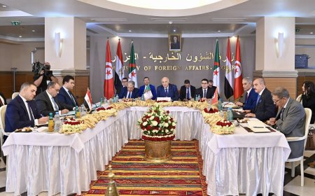 Regional powers coordinate on Libya stability