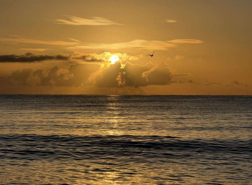 Dawn at Aberdeen Beach