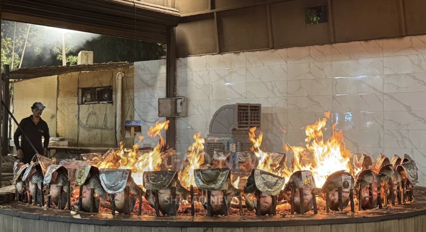 Toxic Masgouf? The threats behind Iraq’s favorite dish