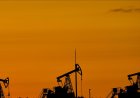 A sudden drop for the global energy markets