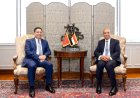 Cairo bilateral summit establishes strategic alliance