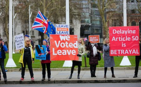 The decision that shook Europe