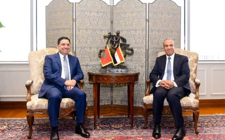 Cairo bilateral summit establishes strategic alliance