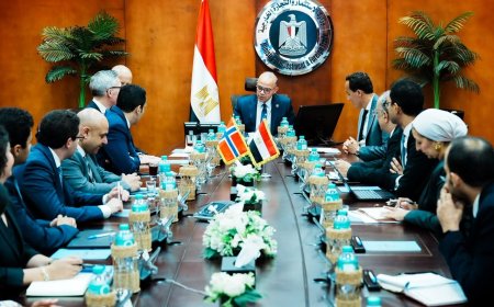 Cairo secures massive environmental tech expansion to accelerate continental trade