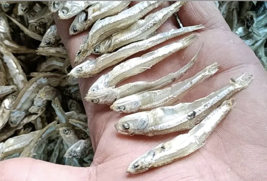 The benefits of ikan bilis (anchovies)