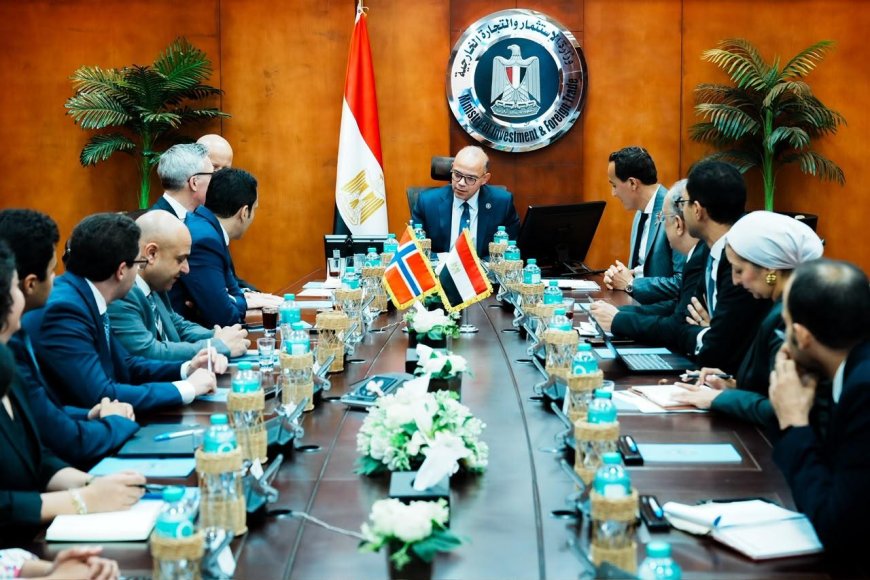 Cairo secures massive environmental tech expansion to accelerate continental trade