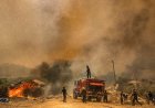 Morocco battles destructive wildfire amid extreme heat warning