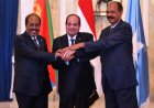 Egypt and Somalia strengthen diplomatic ties amid Horn of Africa stability concerns