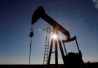 Global crude prices climb sharply following shipping disruptions in Strait of Hormuz
