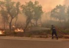 Moroccan authorities extinguish forest fires in two provinces