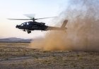 A temporary pause in aerial strikes brings delicate diplomatic negotiations in Oman