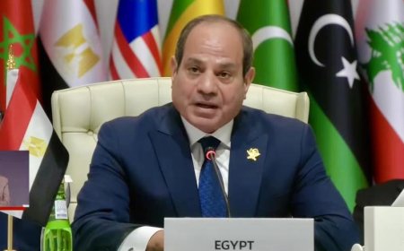 Egyptian leader sets firm conditions regarding regional diplomatic relations