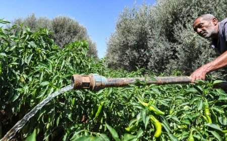International financial institution issues urgent warning regarding economic stability inside Tunisia