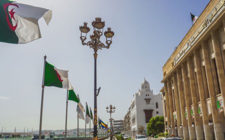 Ruling party maintains power after legislative elections in Algeria