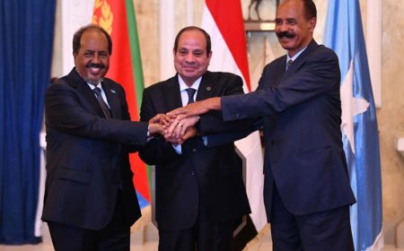 Egypt and Somalia strengthen diplomatic ties amid Horn of Africa stability concerns