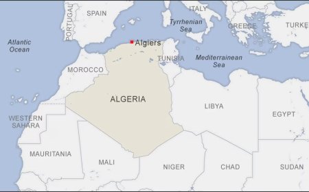 Germany and Algeria forge strategic energy partnership during high level Berlin summit