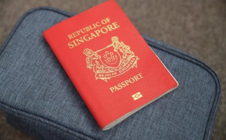 Singapore passport holds premier global ranking with extensive visa free entry access