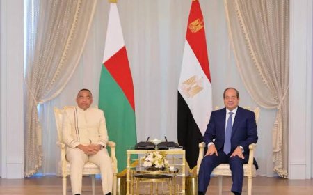 Algeria and Egypt discuss regional stability