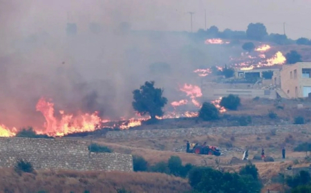 Wildfire response intensifies in northern Algeria
