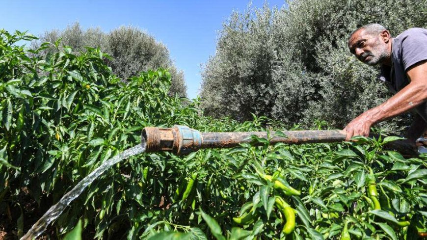 International financial institution issues urgent warning regarding economic stability inside Tunisia