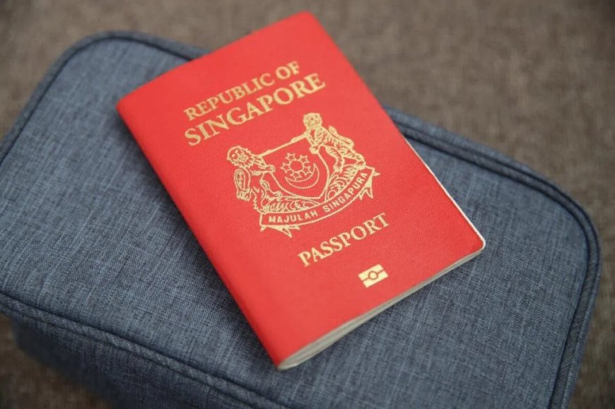 Singapore passport holds premier global ranking with extensive visa free entry access