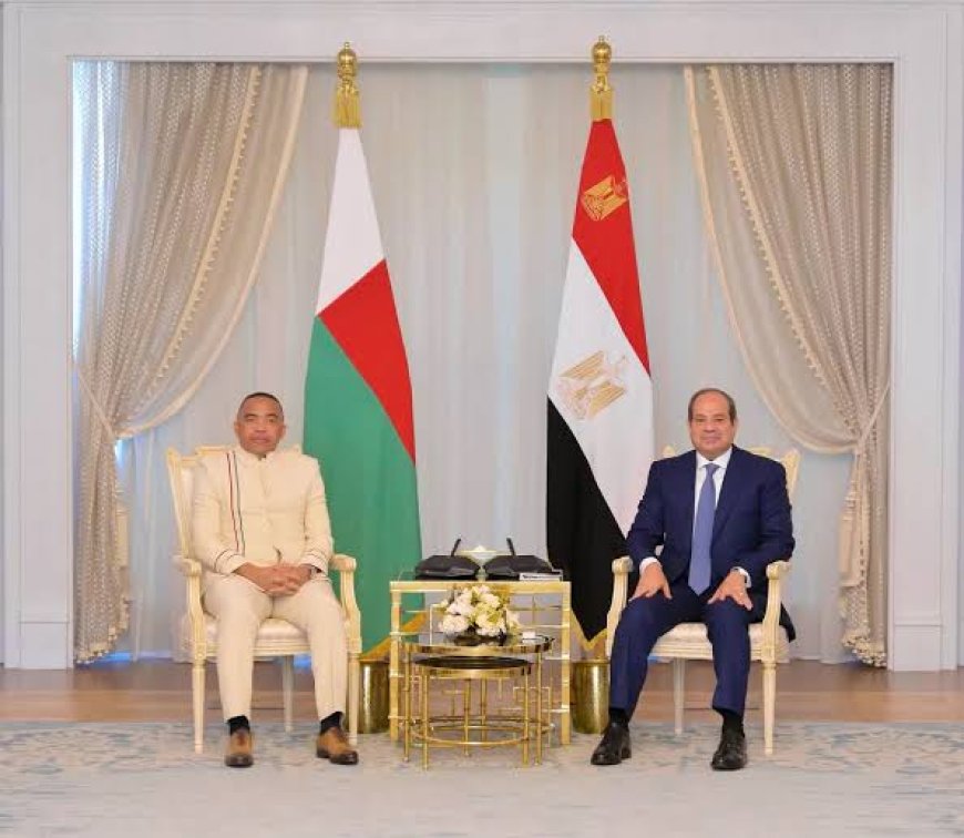 Algeria and Egypt discuss regional stability