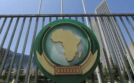 Algeria assumes leadership of African Union Peace and Security Council