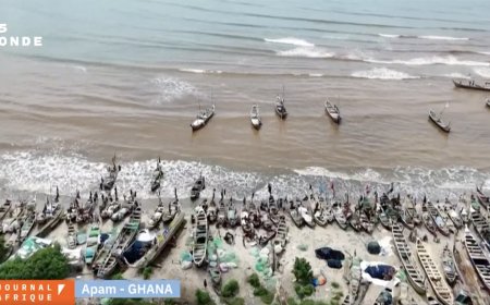 Ghana : la raie-guitare menacée d’extinction par la pollution et la surpêche