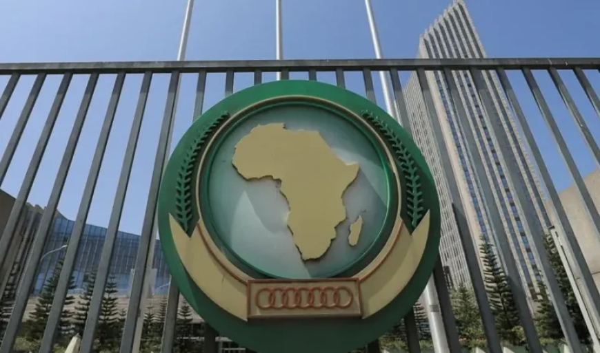 Algeria assumes leadership of African Union Peace and Security Council